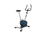 Велотренажер Xterra UB120