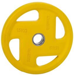 Диск обрезиненный PROFI-FIT цветной FASSION D-51, 15 кг